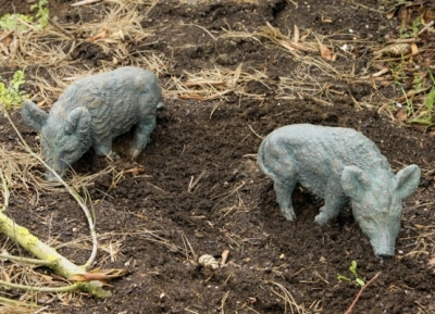 Rottenecker Bronzefigur Frischling (Kopf nach rechts)