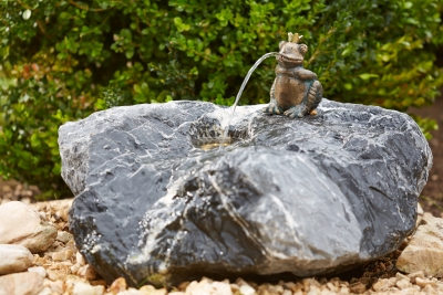 Rottenecker Froschknig Albert, wasserspeiend