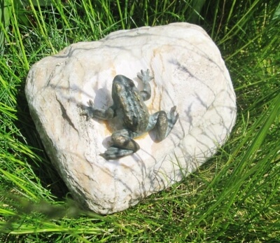 Rottenecker Bronzefigur Mini-Frosch auf Stein