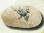 Rottenecker Bronzefigur Mini-Frosch mit Flusskiesel Lamos