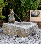 Rottenecker Bronzefigur Froschknig Leopold - Brunnen-Komplettset