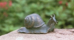 Rottenecker Bronzefigur Schnecke, klein