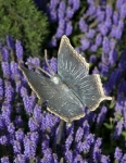 Rottenecker Bronzefigur Schmetterling mit Erdspieß