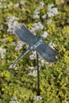 Rottenecker Bronzefigur Libelle mit Erdspieß