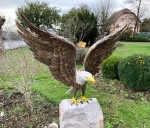Rottenecker Bronzefigur Weißkopf-Seeadler, handbemalt