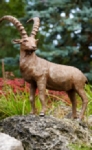 Rottenecker Bronzefigur Steinbock