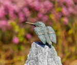 Rottenecker Bronzefigur Eisvogel, Flgel offen