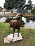 Rottenecker Bronzefigur Steinbock - lebensgro