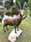 Rottenecker Bronzefigur Steinbock - lebensgro